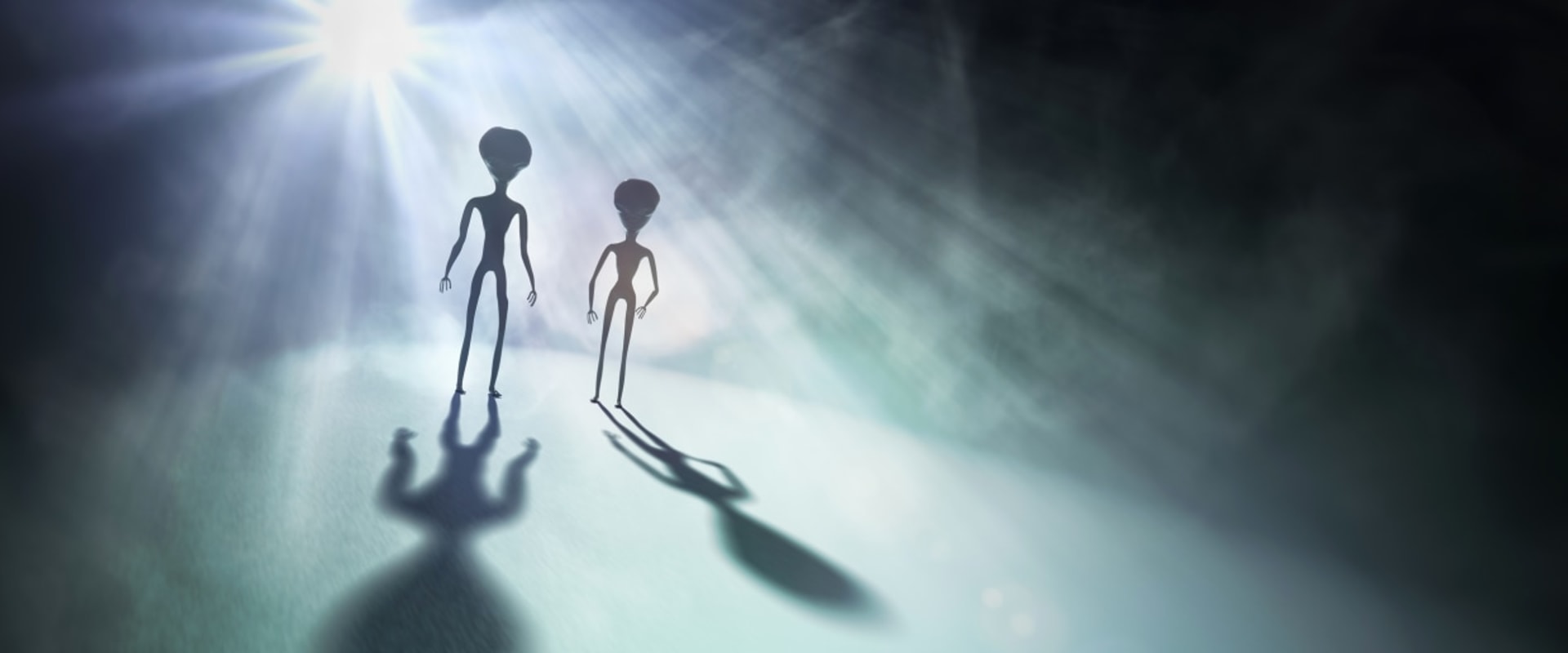 Possible Extraterrestrial Involvement in Human Evolution